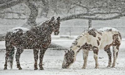 1978属马44岁该怎么办灾转运