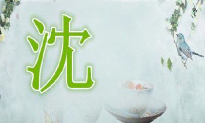 沈姓男孩取名大全2019属猪