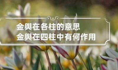 金舆在各柱的意思 金舆在四柱中有何作用