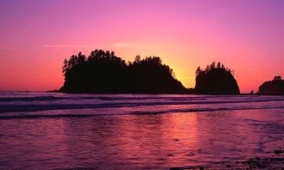 女性美好生活的痣图