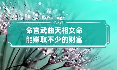 命宫武曲天相女命 能赚取不少的财富