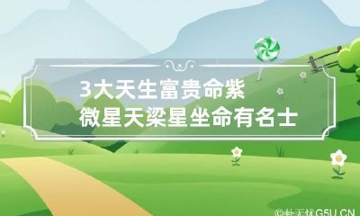 3大天生富贵命紫微星 天梁星坐命有名士风范