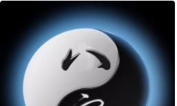 八字格局之日坐正官