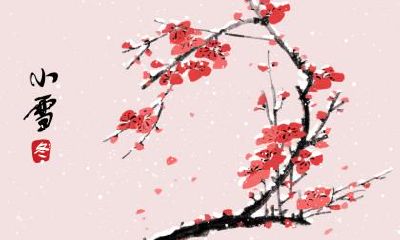 2018年小雪出生的男孩命运如何，小雪出生的男孩命理解析