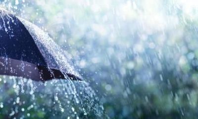 2018立秋是几月几日？立秋是秋天到的意思吗？