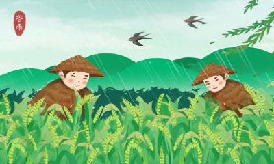 处暑节气的农事怎么安排？适合进行哪些农事活动？