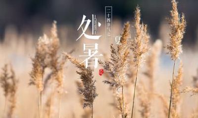 有关处暑的诗词诗句，处暑有何特点？