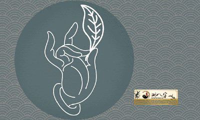 男人离婚痣长在哪些位置