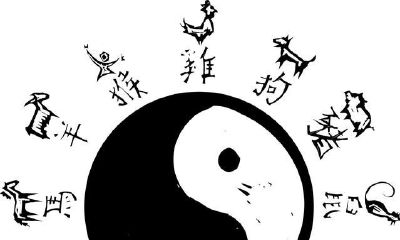 十二宫的运用决策旺衰的因素