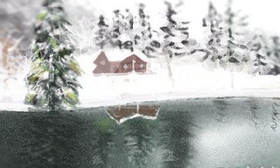 跟这些生肖讲笑话_他们的反应特别慢