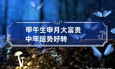 甲午生申月大富贵 中年运势好转