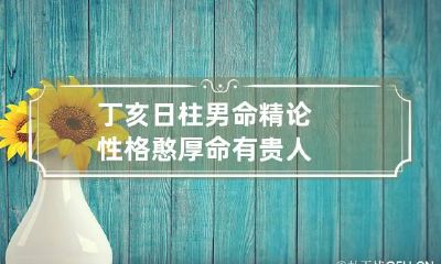 丁亥日柱男命精论 性格憨厚命有贵人