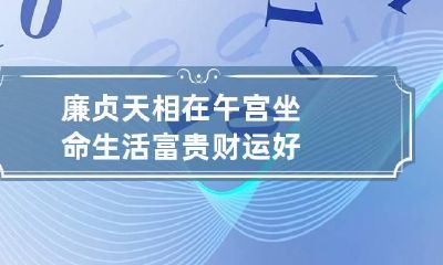 廉贞天相在午宫坐命 生活富贵财运好