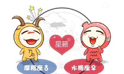 摩羯座和水瓶座星座的配对指数