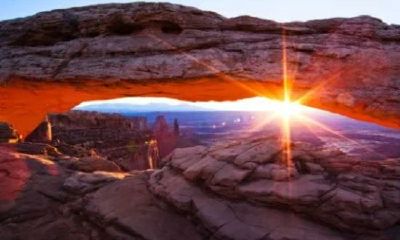 姓贲女孩有寓意的名字大全