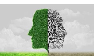 “两行成象”格局特征与案例运用方法