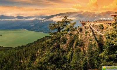 公历2019年3月23号辰时出生的女宝宝起名方法有哪些，宜用什么字