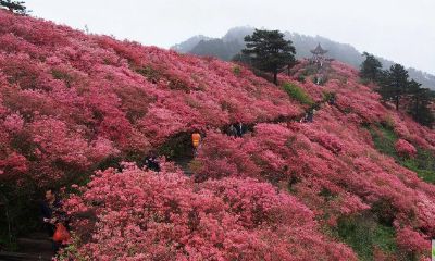 公历2019年4月15号丑时出生的女宝宝如何起名字，宜用字有什么