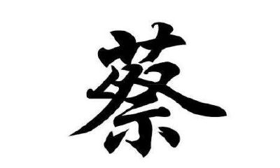 蔡姓男孩取名大全2019属猪