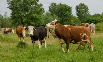 2021辛丑牛年九月十二日子好吗？适不适合出行？