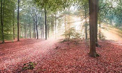 2022年农历七月初一出生的男孩取名推荐，阳光帅气的名字