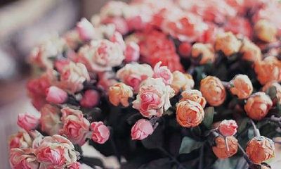 姓霍女孩有寓意的名字大全