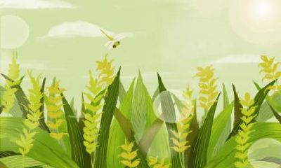 2019年农历四月十七小满适合上坟祭祖吗？是黄道吉日吗？