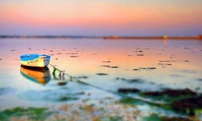 姓支女孩有寓意的名字大全