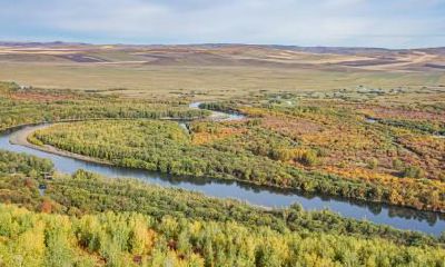 小满养生吃什么？小满节气养生的要点注意事项？