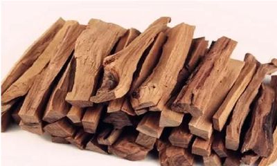 八字中缺木得人需要怎么补