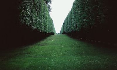 姓卞女孩有寓意的名字大全