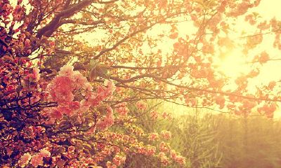 爸爸姓窦,妈妈姓水 女孩名字三个字四个字