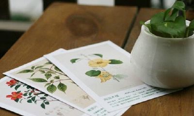 姓邬女孩有寓意的名字大全