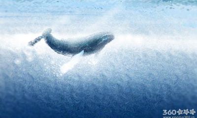 十二生肖会因为什么刺激改变自己？