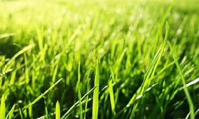 2022年农历八月初十出生女孩五行缺火取名推荐