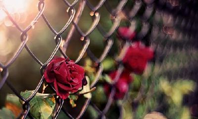 姓郝女孩有寓意的名字大全