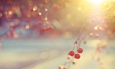 爸爸姓云,妈妈姓章 女孩名字三个字四个字