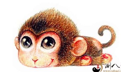 一入“猴”门深似海：生肖猴解析