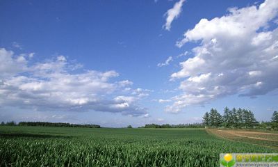 公历2019年4月18号子时出生的女宝宝如何起名字，宜用字有哪些