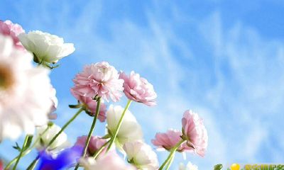 公历2019年4月16号丑时出生的女宝宝怎么取名字，宜用字有哪些