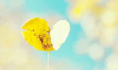 姓贺女孩有寓意的名字大全