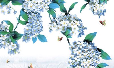 公历2019年4月18号丑时出生的女宝宝如何起名字，宜用字有哪些