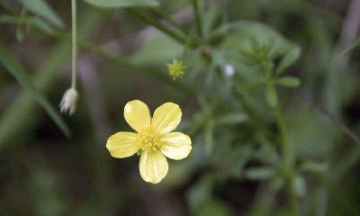公历2019年4月13号丑时出生的女宝宝怎么取名字，宜用哪些字