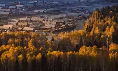 占星判断你的能力和自律性