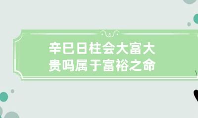 辛巳日柱会大富大贵吗 属于富裕之命