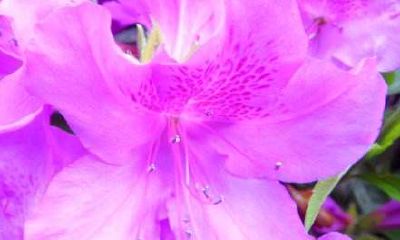 2019年7月15日子时（23:00-00:59）出生的男宝宝应该怎么取名，