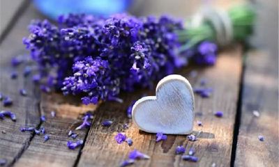 姓魏女孩有寓意的名字大全