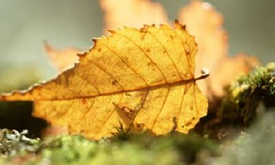 姓苗女孩有寓意的名字大全