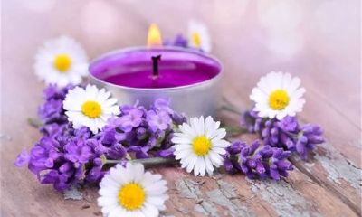 姓陶女孩有寓意的名字大全