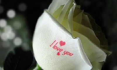 爸爸姓金,妈妈姓华 女孩名字三个字四个字